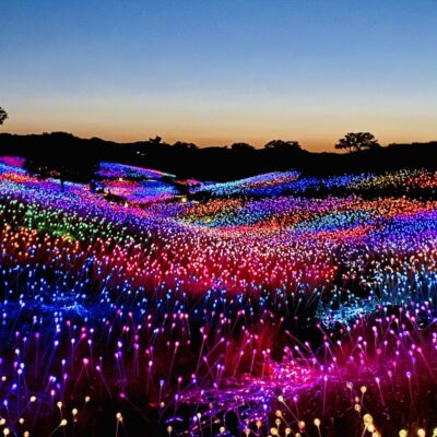 Sensorio Field of Lights in Paso Robles, California