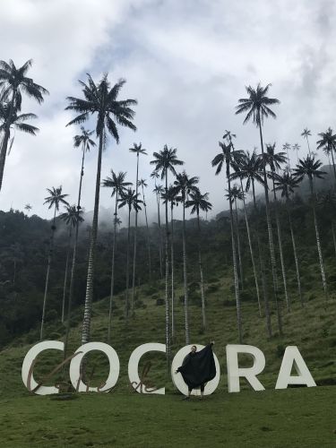 Cocora Valley in Salento, Colombia