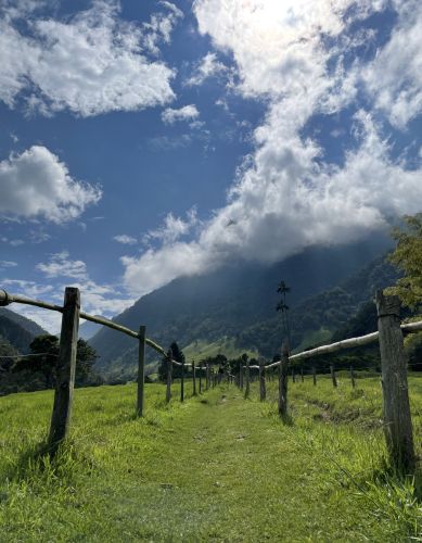 Cocora Valley in Salento, Colombia