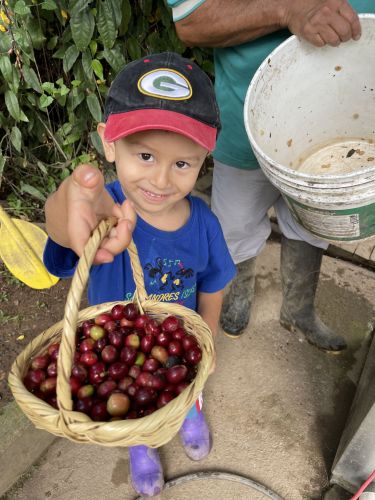 Coffee Farm Tour in El Penol, Colombia