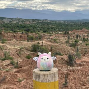 Pixel Baby in Tatacoa Desert, Colombia