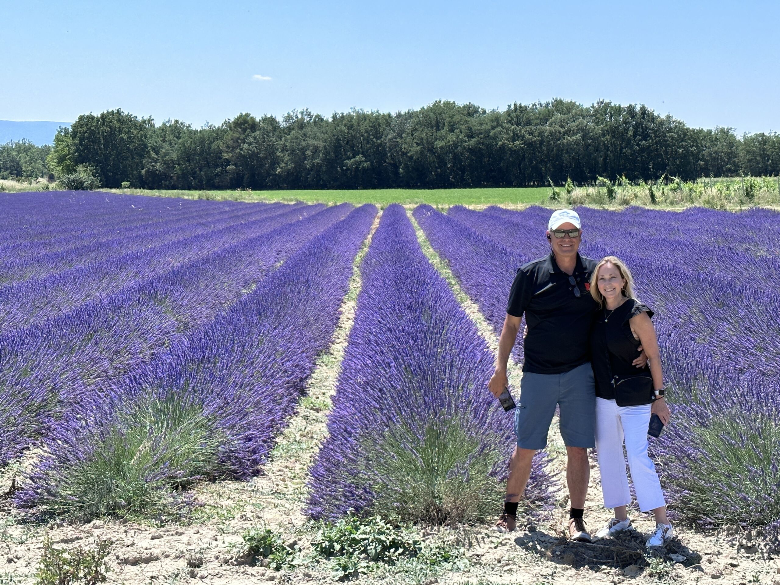 Lavender field hunting in Provence